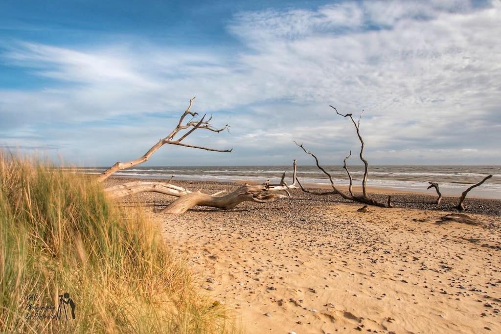 Covehithe House-Coastal Luxury- Sleeps 12-With Huge Swimspa! Wrentham Exteriör bild